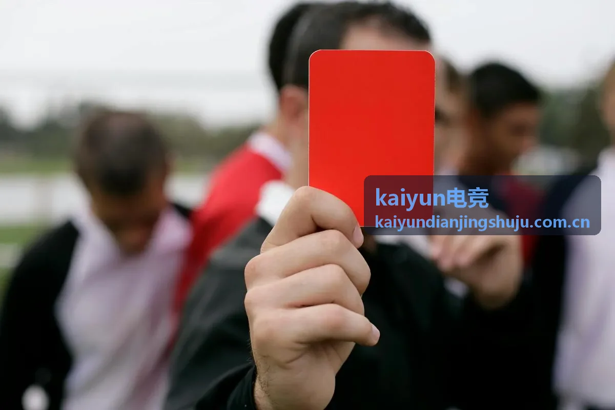 kaiyun电竞数据建模案例展示